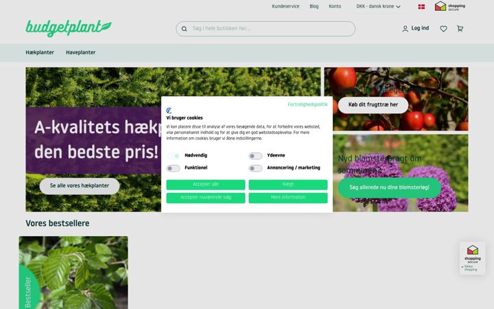 Screenshot of budgetplant.dk