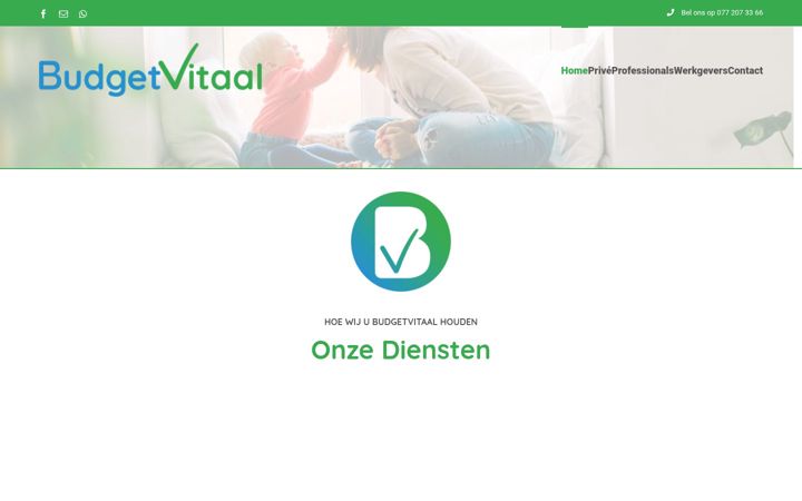 Zrzut ekranu budgetvitaal.nl