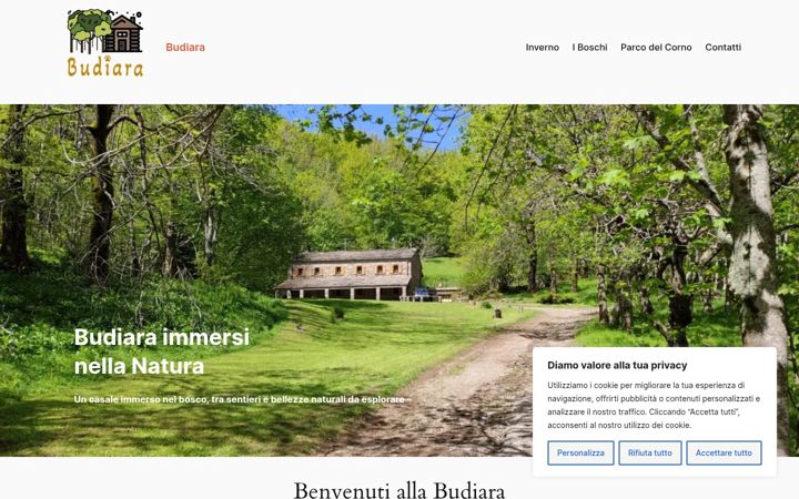 Screenshot of budiara.it