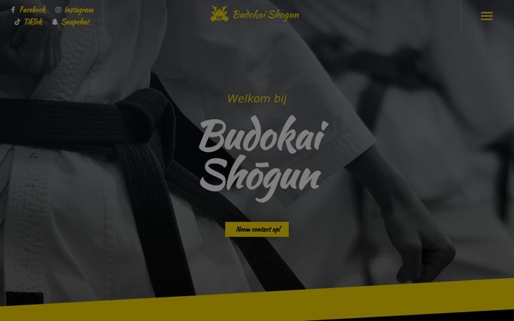 Zrzut ekranu budokaishogun.nl