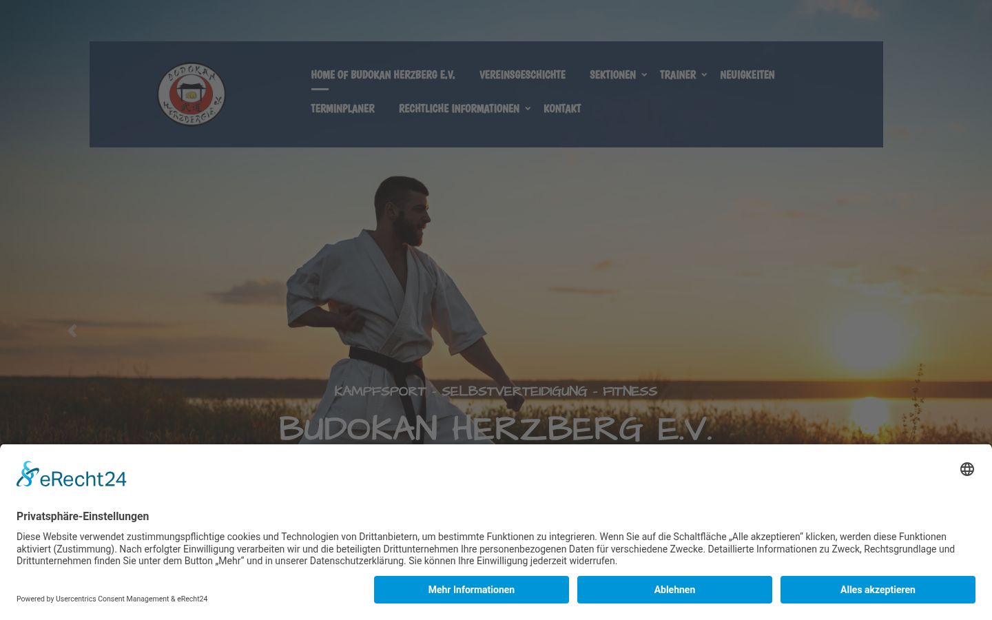 Captura de ecrã do banner de consentimento apresentado antes de qualquer interação
