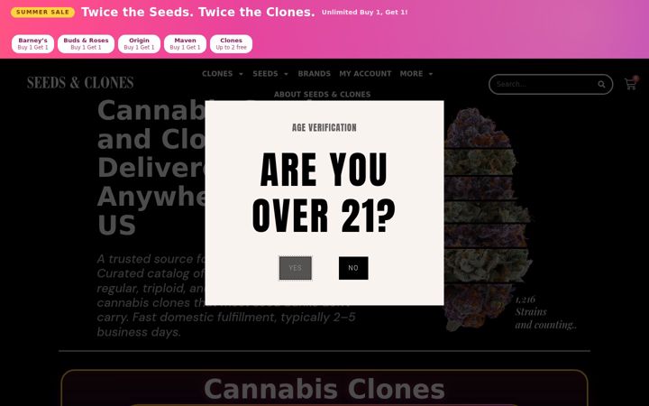 Screenshot of budsandroses.com