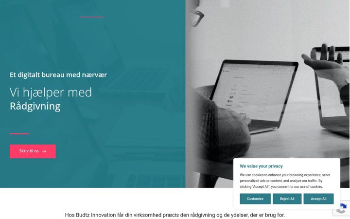 Screenshot of budtzi.dk