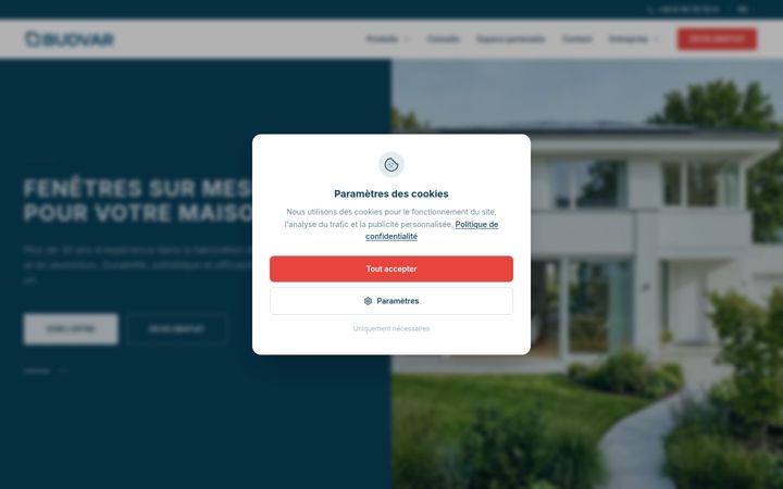 Screenshot of budvar.fr