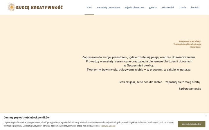 Screenshot of budzekreatywnosc.pl