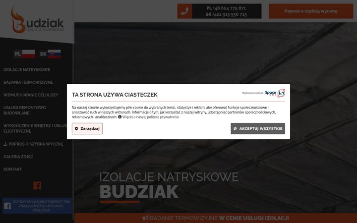 Screenshot του budziak-izolacje.pl