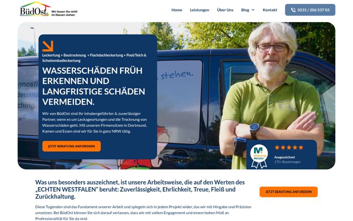 Skjámynd af buedost.de