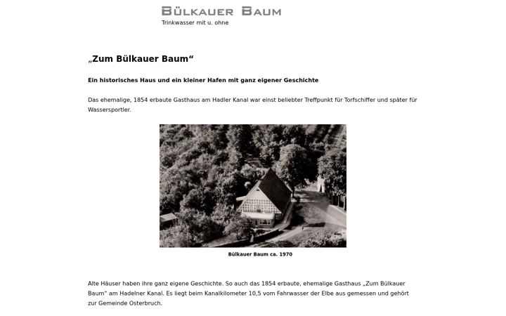 Screenshot of buelkauerbaum.com