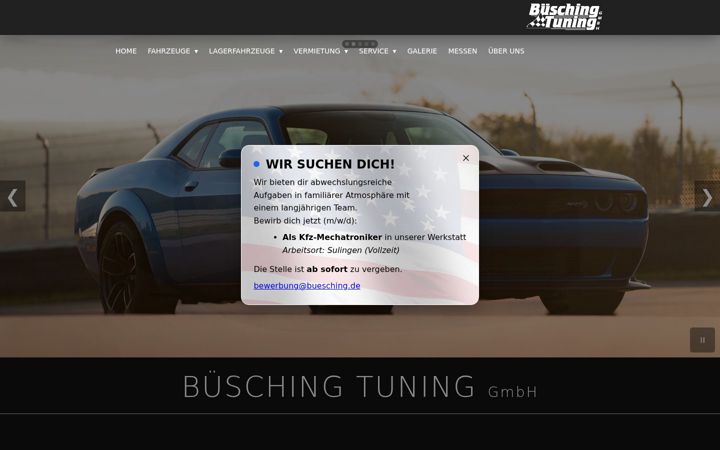 Screenshot of buesching.de
