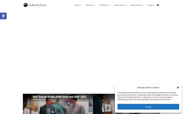 Kuvakaappaus sivustosta buffaloartsstudio.org