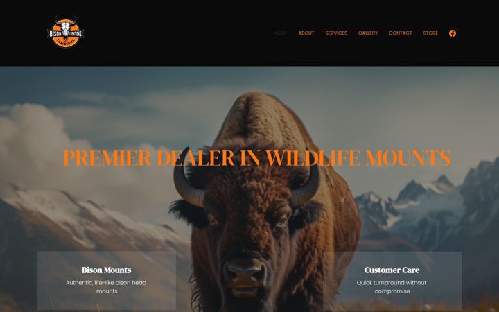Screenshot of buffalomount.com