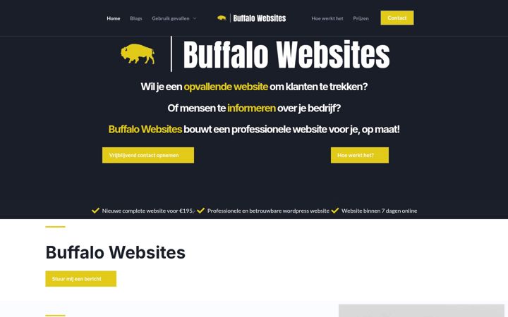 Zrzut ekranu buffalowebsites.nl