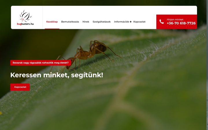 Screenshot of bugbusters.hu