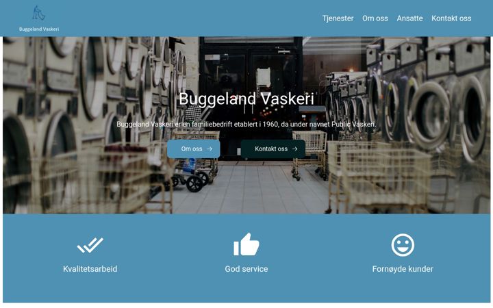 Screenshot of buggelandvaskeri.no