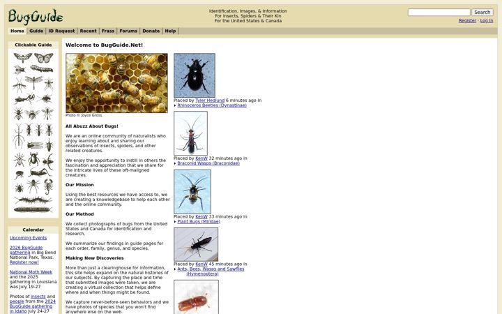 Screenshot ta' bugguide.net