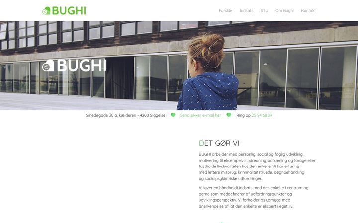 Screenshot of bughi.dk