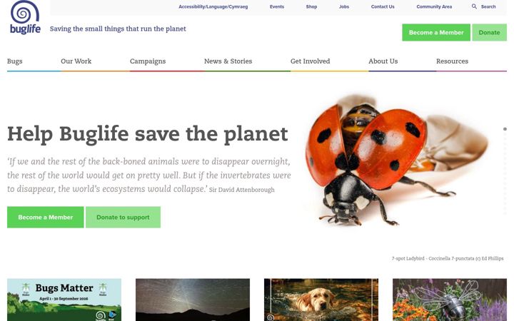 Screenshot von buglife.org.uk