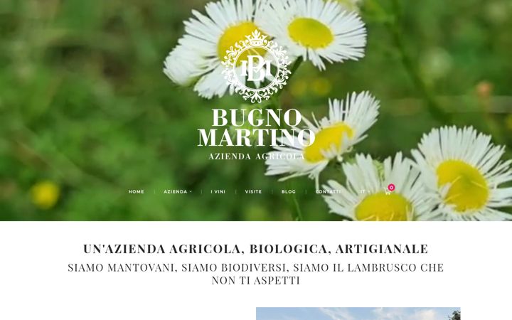 Screenshot of bugnomartino.com