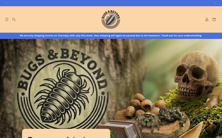 Screenshot of bugsandbeyond.co.uk