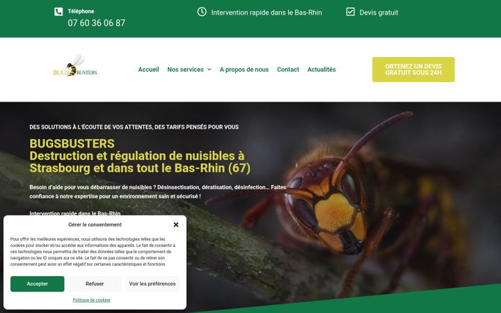 Екранна снимка на bugsbusters67.fr