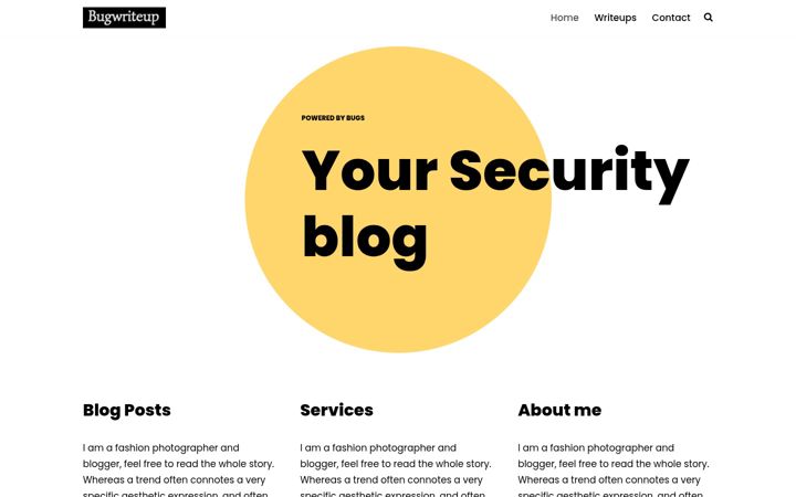 Screenshot of bugwriteup.com