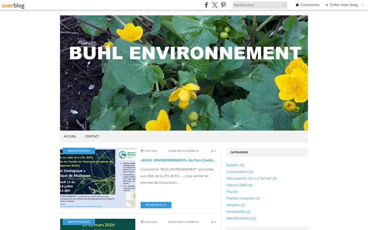 Screenshot of buhl-environnement.com