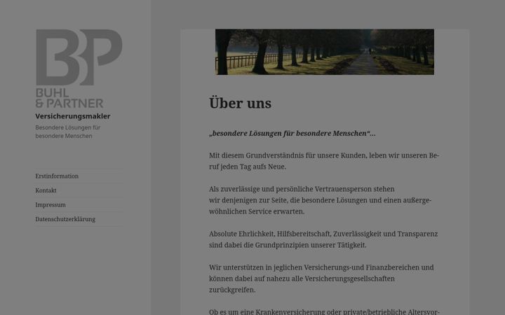Screenshot of buhlundpartner.de