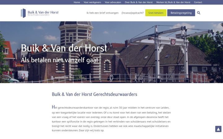 Screenshot of buikenvanderhorst.nl