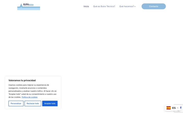 Screenshot of buiratecnics.com