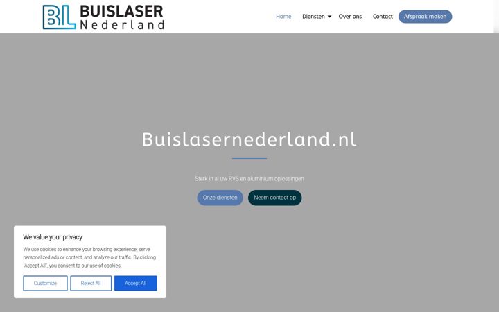 Screenshot of buislasernederland.nl