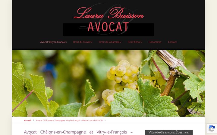 Screenshot of buisson-avocat-marne.fr
