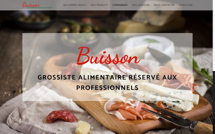 Screenshot of buisson-sa.com