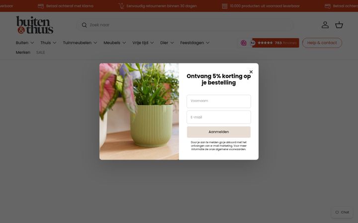 Zrzut ekranu buitenenthuis.nl
