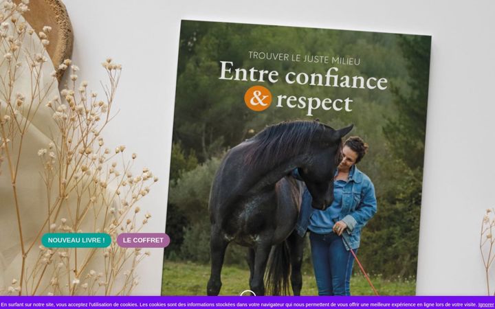 Screenshot of bujo-equestre.com