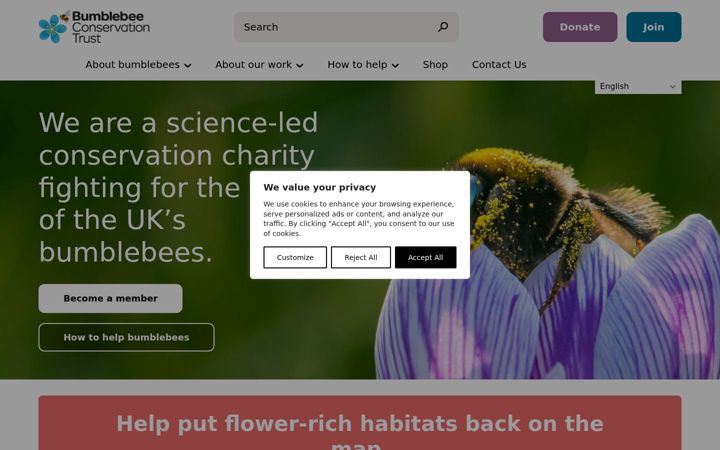 Screenshot of bumblebeeconservation.org
