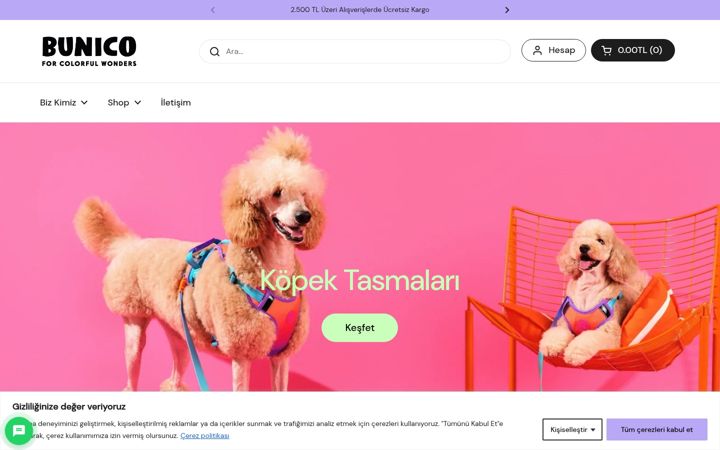 Screenshot of bunico.co
