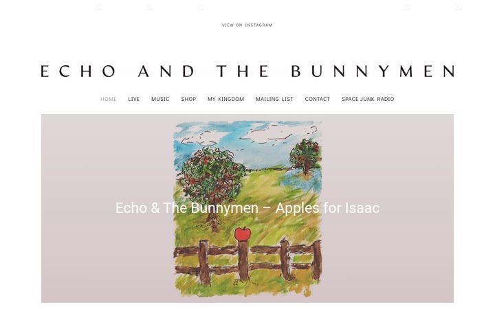 Screenshot of bunnymen.com