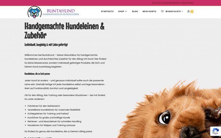 Zrzut ekranu buntahund.de