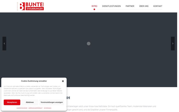 Screenshot of bunte-steuerungen.de