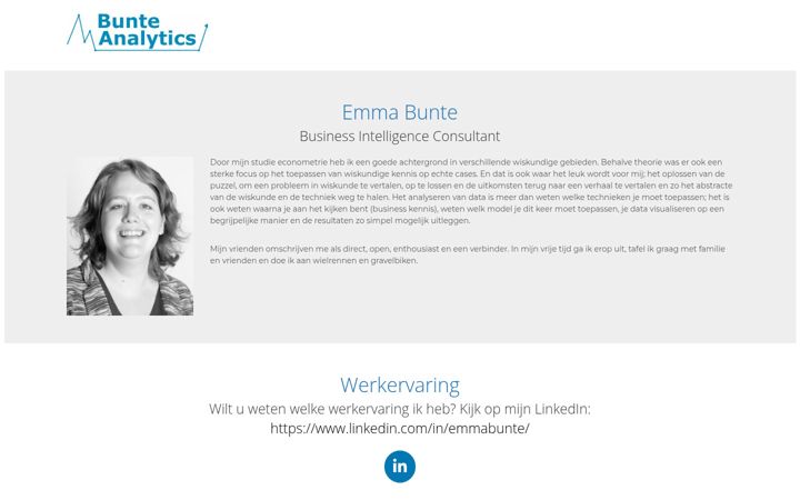 Screenshot of bunteanalytics.nl
