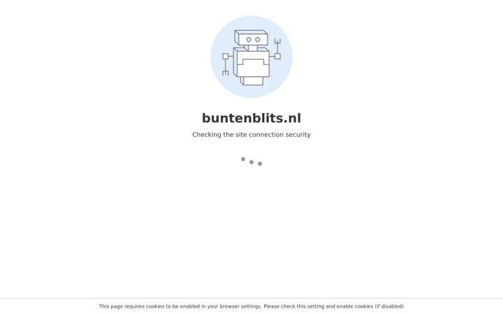Screenshot of buntenblits.nl