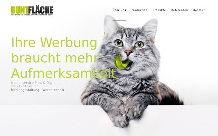 Ekraanipilt saidist buntflaeche.de