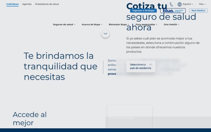 Screenshot of bupasalud.com.bo