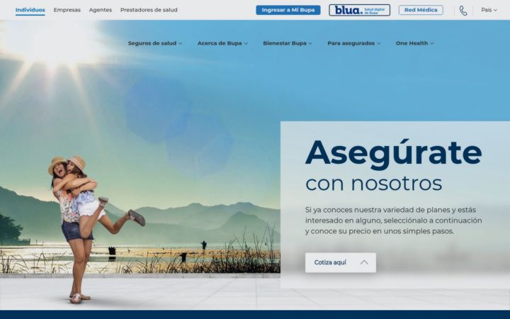 Screenshot of bupasalud.com.gt