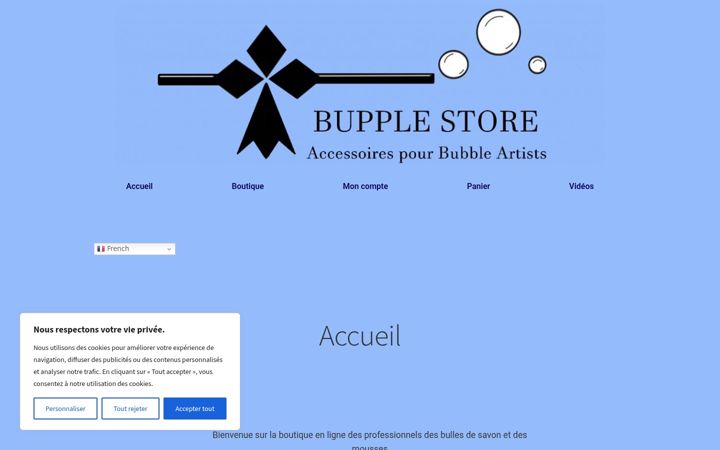 Screenshot of bupplestore.fr