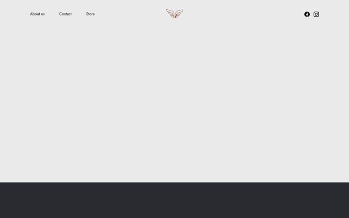 Screenshot of buraksmmagency.com