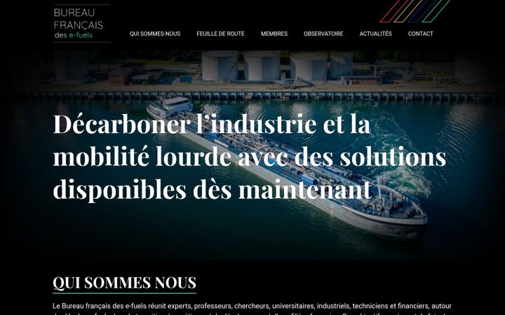 Screenshot of bureau-efuels.com