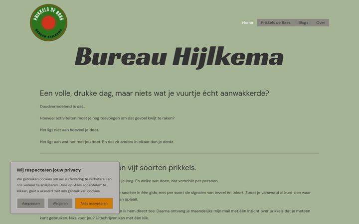 Posnetek zaslona bureau-hijlkema.nl