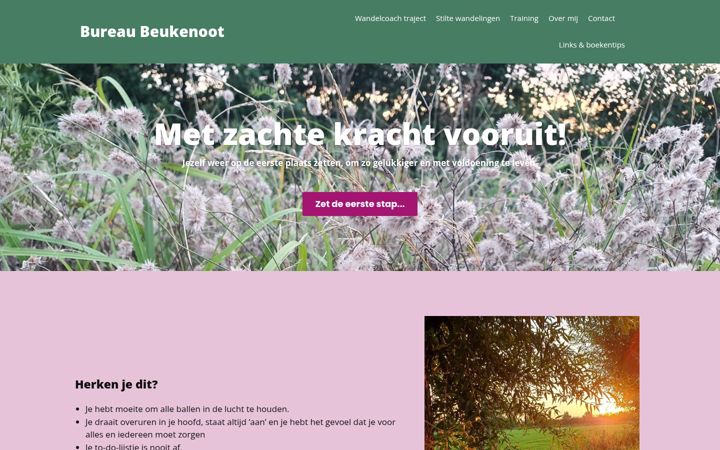Screenshot του bureaubeukenoot.nl