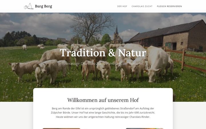 Screenshot of burg-berg.de
